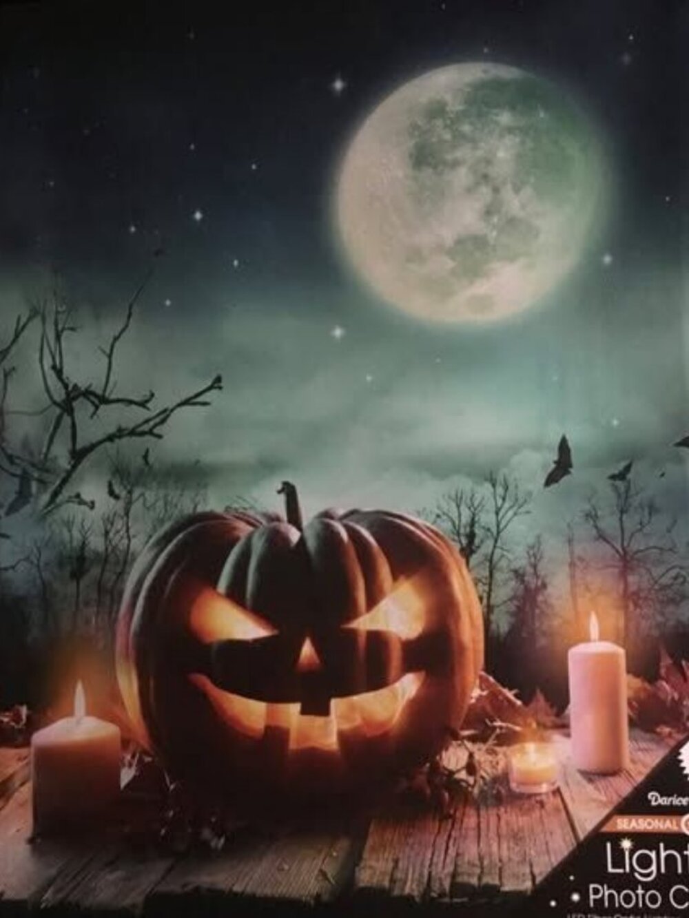 Darice Light Up Photo Canvas Jack-O-Lantern Moon - Halloween LED Fiber Optic 12x